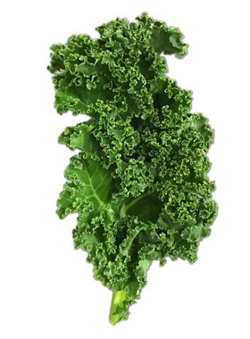 新鲜羽衣甘蓝沙拉榨汁新鲜蔬菜