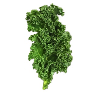 绿食者 羽衣甘蓝500g 新鲜蔬菜嫩叶芥蓝菜kale沙拉食材榨汁蔬菜