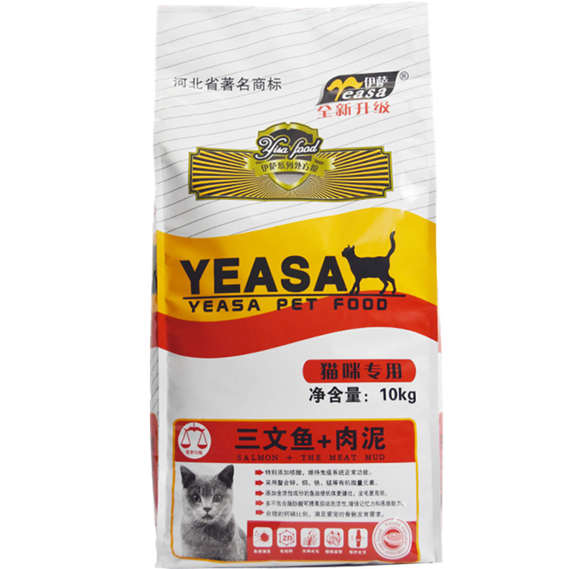 伊萨暹罗干粮老年猫