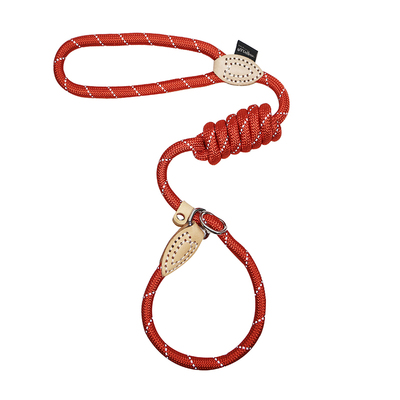 防爆冲狗狗牵引绳反光超细P链