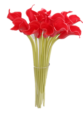 大号马蹄莲6支花束干花花瓶插花