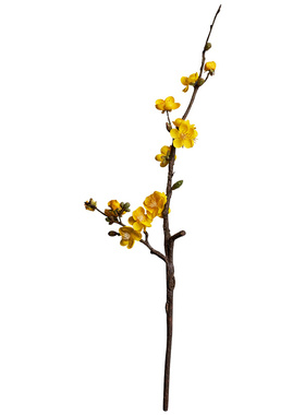 柔晴梅花假花仿真花腊梅餐桌装饰