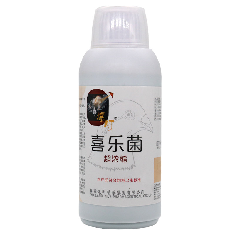 鸽子药大全爆灯喜乐浓缩活菌