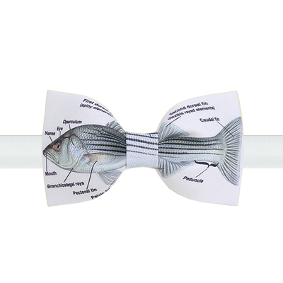 时尚领结蝴蝶结新郎礼服正装煲呔