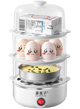 煮蛋器蒸蛋器自动断电小型蒸鸡蛋羹神器早餐煮鸡蛋多功能家用1人