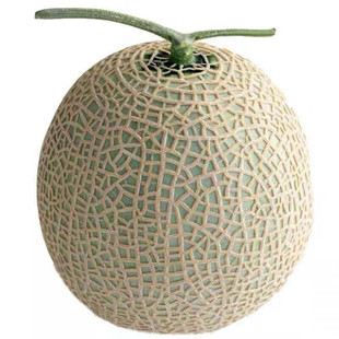 冰淇淋网纹瓜蜜瓜玫珑瓜哈密瓜新鲜水果静冈甜瓜礼盒海南