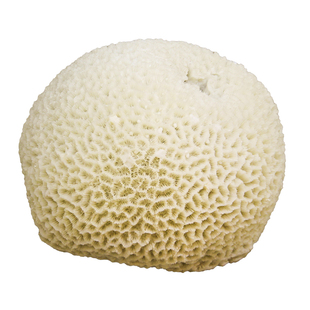 晶华造花 球型珊瑚家居陈列仿真珊瑚装饰品/摆件/工艺品