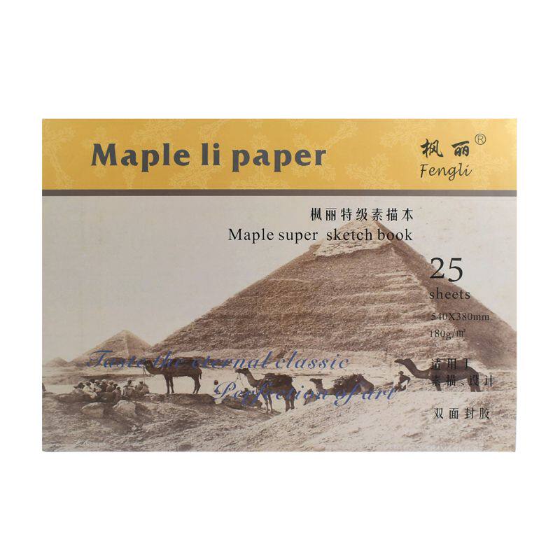 枫丽素描学生初学者写生绘画速写
