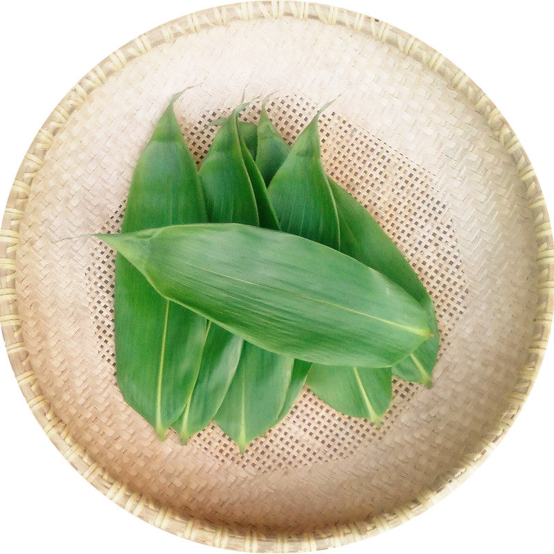 现摘新鲜大粽叶箬竹叶纯天然端午包粽子用食材湖南邵阳农家特产_虎窝淘