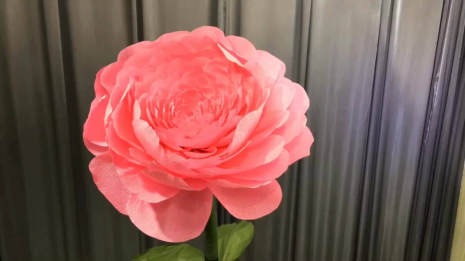 High Quality Card Big Mexican Paper Flowers For Backdrop Buy Big