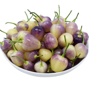 广西七彩椒种子七彩辣椒种籽农家自留五彩辣椒泡椒种植10g包邮