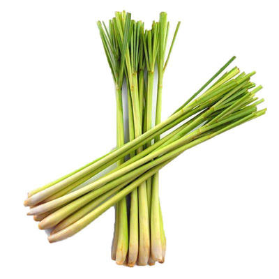 新鲜香茅草冬阴功汤料食材香料