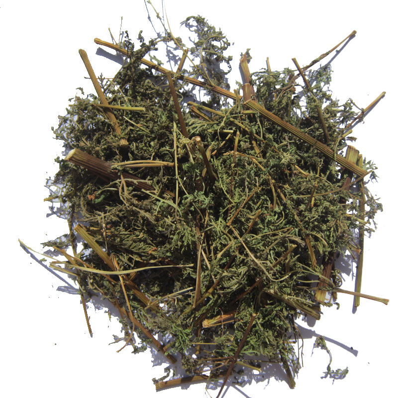 野生青蒿干品新鲜青蒿草苦蒿香蒿臭蒿黄蒿晒干500g包邮