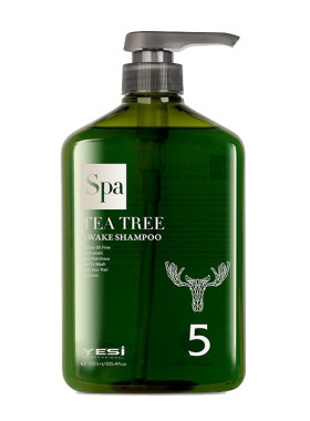 悦丝5号茶树生姜控油性洗发水