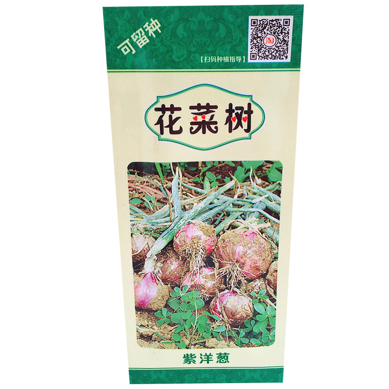 精选红皮洋葱种籽紫皮洋葱种子圆葱庭院菜园易播蔬菜青菜种子大全