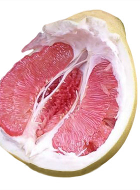 红心蜜柚地栽盆栽川简苗木果树苗