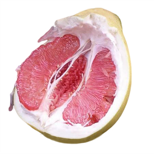 热销大果红心蜜柚杯苗红肉密子带大土球水果树苗琯溪蜜柚树地栽盆