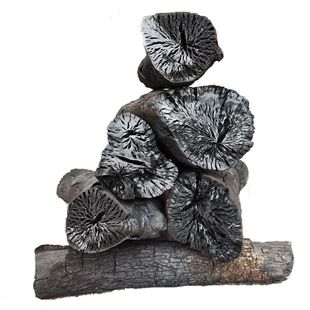 木碳茶炉炭烧烤碳火炭 无烟易燃炭 取暖碳 果木炭 烧烤炭1斤8元