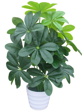 发财树落地盆栽家居摆设仿真植物