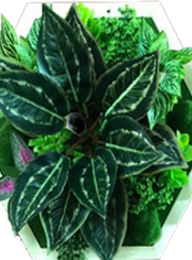 仿真相框绿植墙立体花卉装饰品