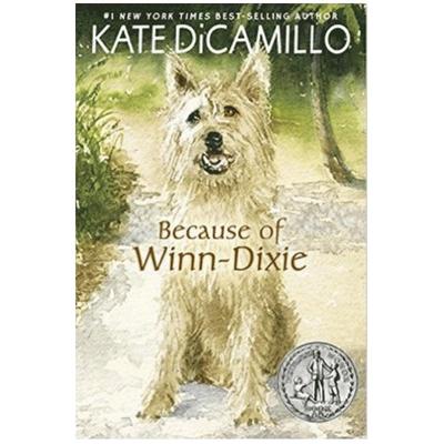 现货 英文原版 傻狗温迪克 纽伯瑞奖小说 Kate DiCamillo 都是戴茜惹的祸 Because of Winn-Dixie