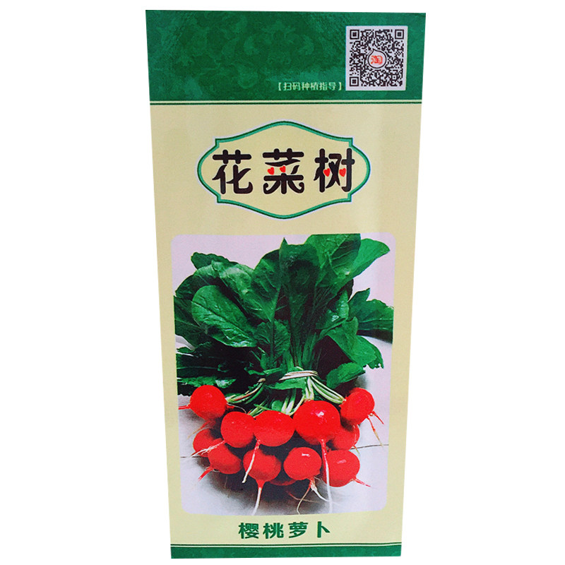 四季播水果樱桃萝卜籽室内阳台植物非转基因蔬菜苗 春季盆栽 菜种