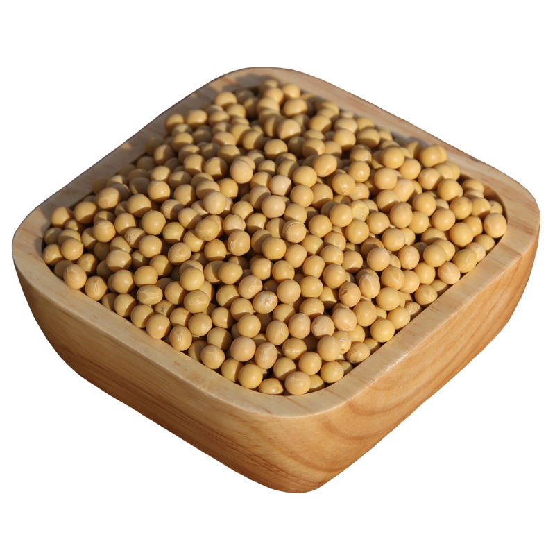 东北大豆 新货 农家黄豆 打豆浆发豆芽的食用土黄豆 牙豆500g