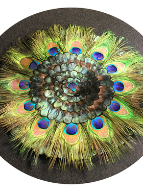 古典茶几摆件孔雀羽毛