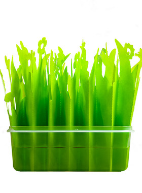 自然蜥蜴爬宠箱增湿器变色龙