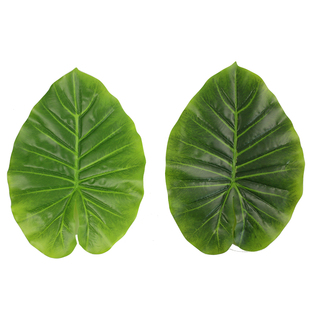 仿真水果叶子过胶叶滴水观音叶子大片水果店装饰假叶子树叶植物墙