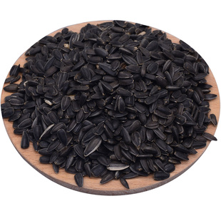 油葵籽小黑瓜子黑珍珠葵花籽子鹦鹉鸟食仓鼠零食鸟粮鸽粮5斤包邮