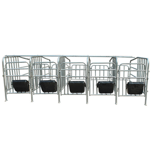 母猪定位栏10母猪限位栏带10个钢板母猪食槽母猪产床 养猪厂设备