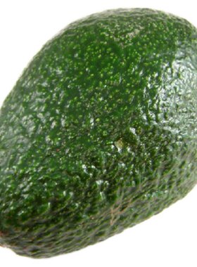 【沁蕊】新鲜云南1樟梨牛油果
