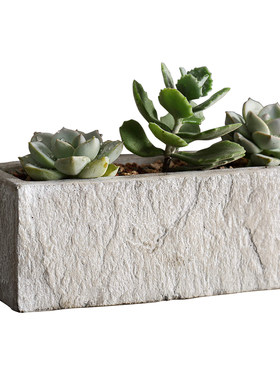北欧仿石头长方形创意巴西木绿萝
