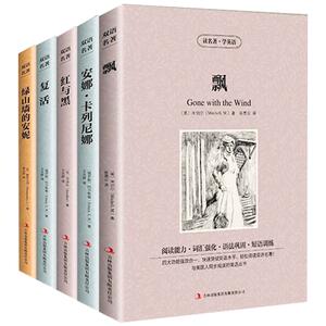 飘 红与黑 呼啸山庄中英对照3册套装 双语英文版+中文版英汉对照书读名著学英语米切尔中英文双语小说学生英语读物