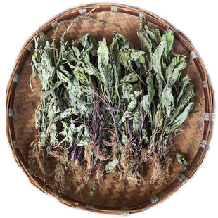 车前草干货中药野生整颗中药材排酸茶新鲜正品包邮天然晒干车钱草