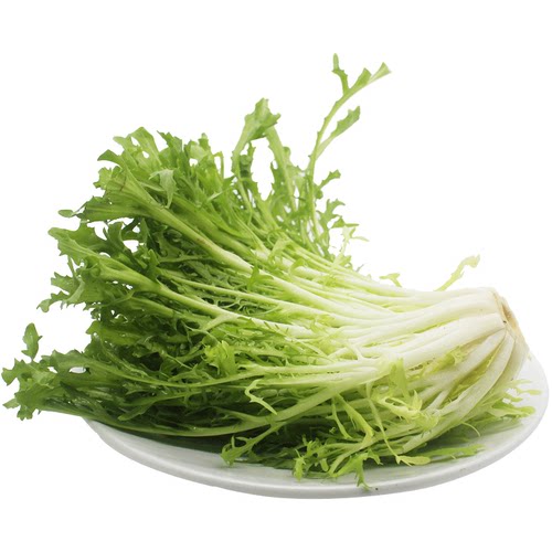特新鲜蔬菜苦菊 苦苣菜苦叶狗牙生菜沙拉菜西餐配料 沙拉生菜250g