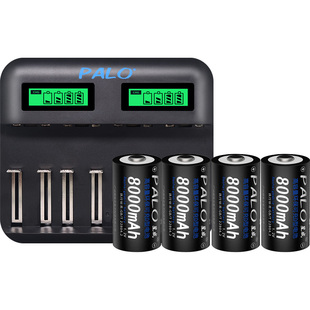 星威1号多功能智能充电器配4节1号D8000毫安充电电池热水器煤气灶