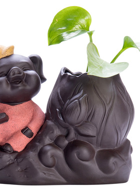 水培植物花盆紫砂禅意风室内装饰