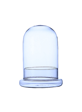 七夕节生日礼物展示罩