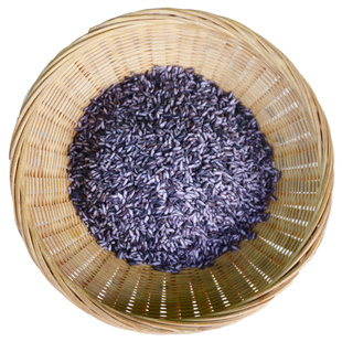 产自云南哀牢山海拔2000米高山梯田紫米 紫糯米农家紫米500克/份