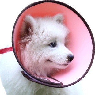 伊丽莎白项圈头罩大型犬防舔防抓咬宠物用品狗狗猫咪保护脖圈头套