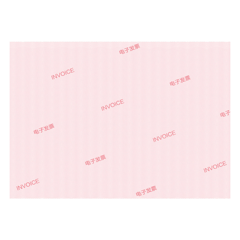 a5凭证空白打印纸电子电脑票据