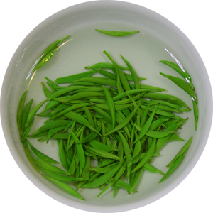 信阳毛尖绿茶2026新茶春茶明前特级嫩芽自产自销散装炒青茶叶