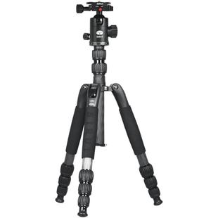 思锐A1205单反相机摄相机三脚架碳纤维便携自拍手机架三角架照相机支架旅行 云台 轻便 便携 专业适合于佳能