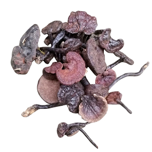 浙江天台山纯野生黑灵芝整枝林芝紫芝赤芝中药材带孢子粉500g包邮