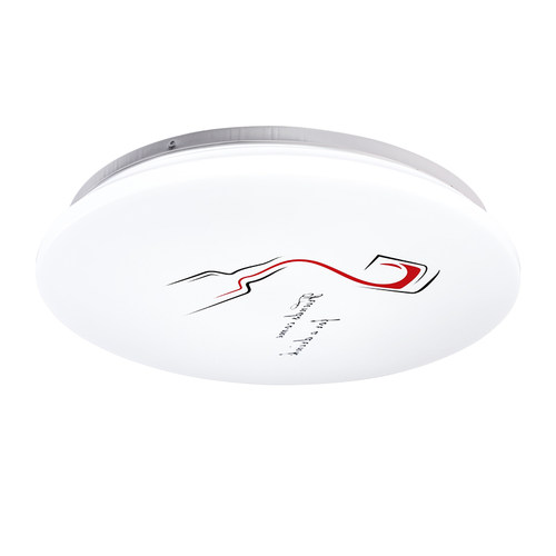 LED吸顶灯现代圆形客厅灯简约卧室灯 全白过道阳台厨卫餐厅灯具饰