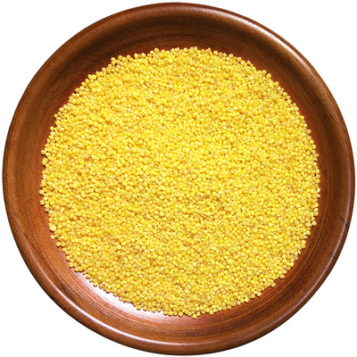 东北新米黄小米小黄米500g