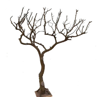 干树枝干枝树干白色许愿摆件枯树杆实木天然造型树假树仿真装饰树