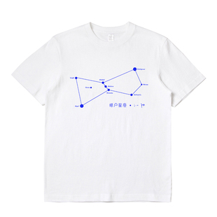 朴树猎户星座T恤短袖夏季纯棉男女款 我去2000年new boy 生如夏花